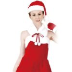 クリスマスコスプレ/衣装 【Party Lady Santa パーティーレディサンタ】 レディース 『CLUB QUEEN』